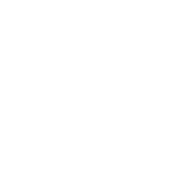 交易DOT安全吗？